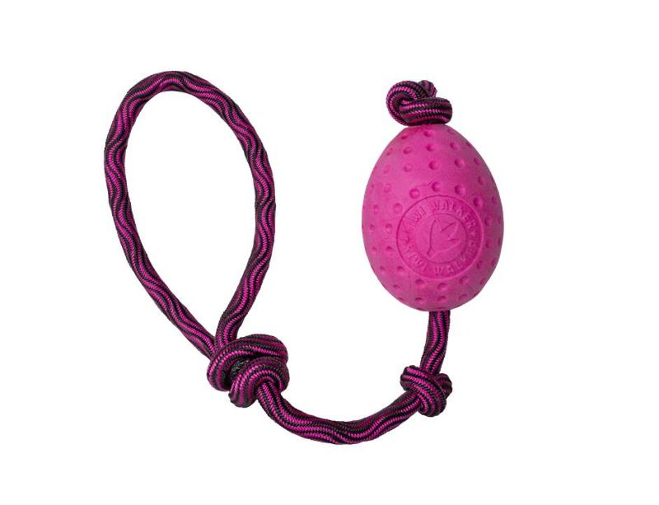 Kiwi Walker Egg Maxi