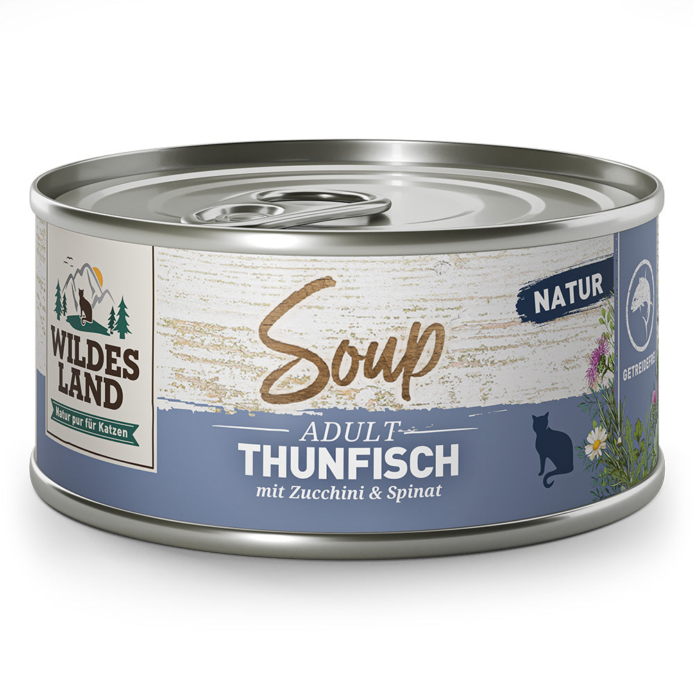 Wildes Land : Soupe de Thon avec Courgettes & Épinards