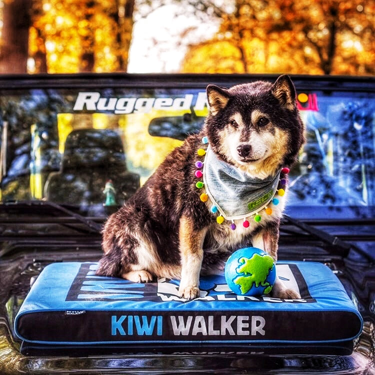 Kiwi Walker Panier pour animaux Bleu/Noir
