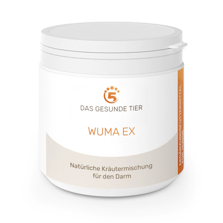 5 Elemente : Wuma Ex