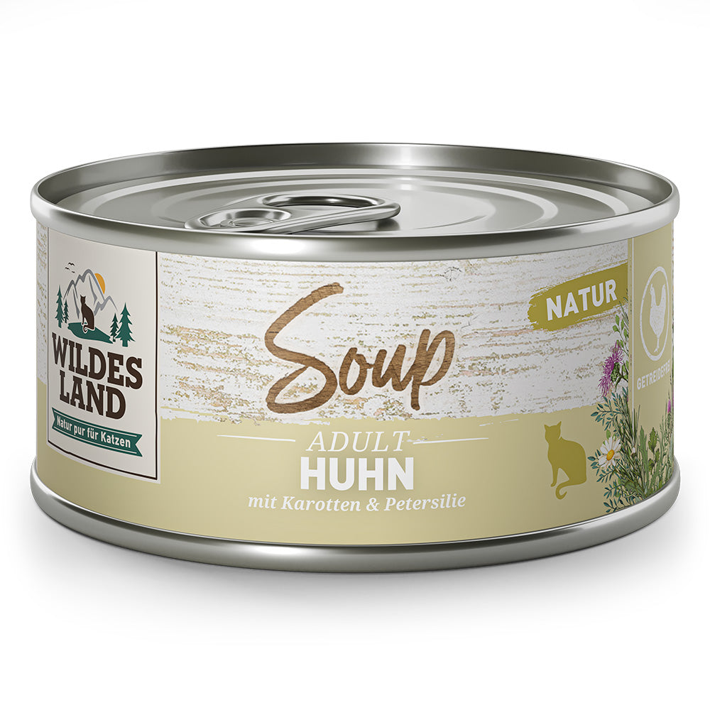 Wildes Land : Soupe de Poulet avec Carottes & Persil