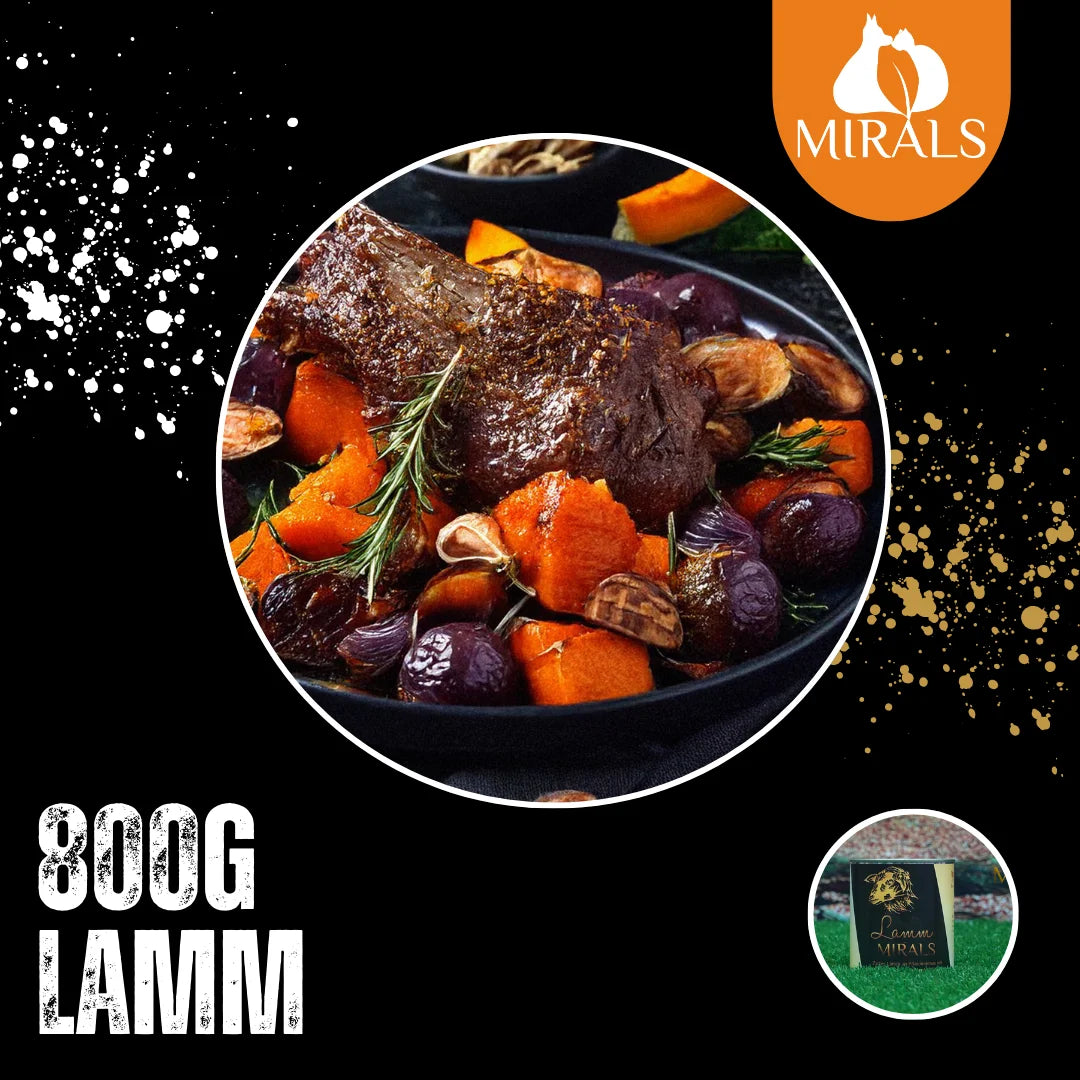 MIRALS Agneau tendre à la compotée de prunes, légumes marrons-potiron-fenouil