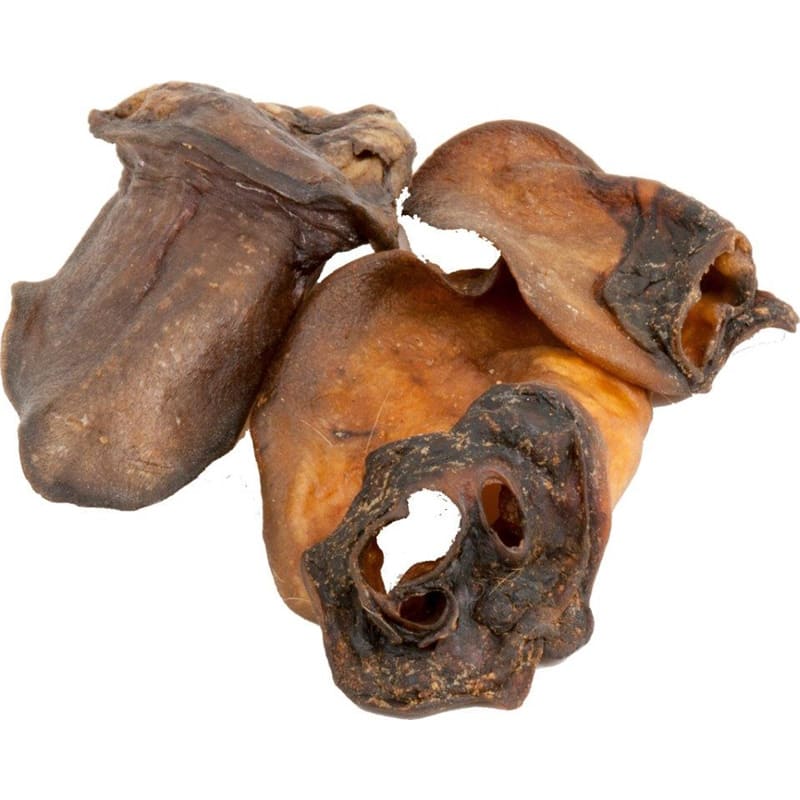 Ecostar Oreilles de sanglier épilées