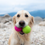 Kiwi Walker Lass uns Ball spielen