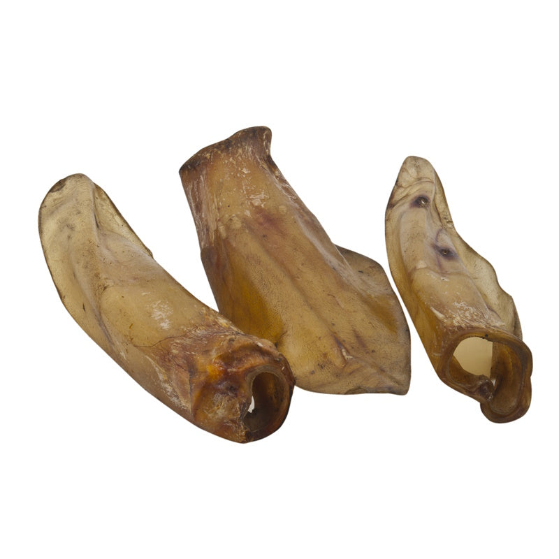 Ecostar Oreilles de bœuf standard sans base