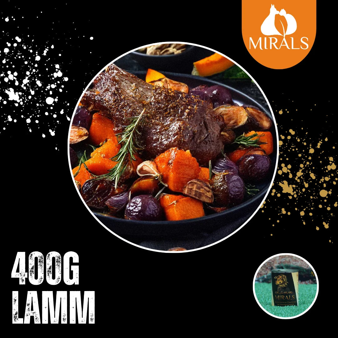 MIRALS Agneau tendre à la compotée de prunes, légumes marrons-potiron-fenouil
