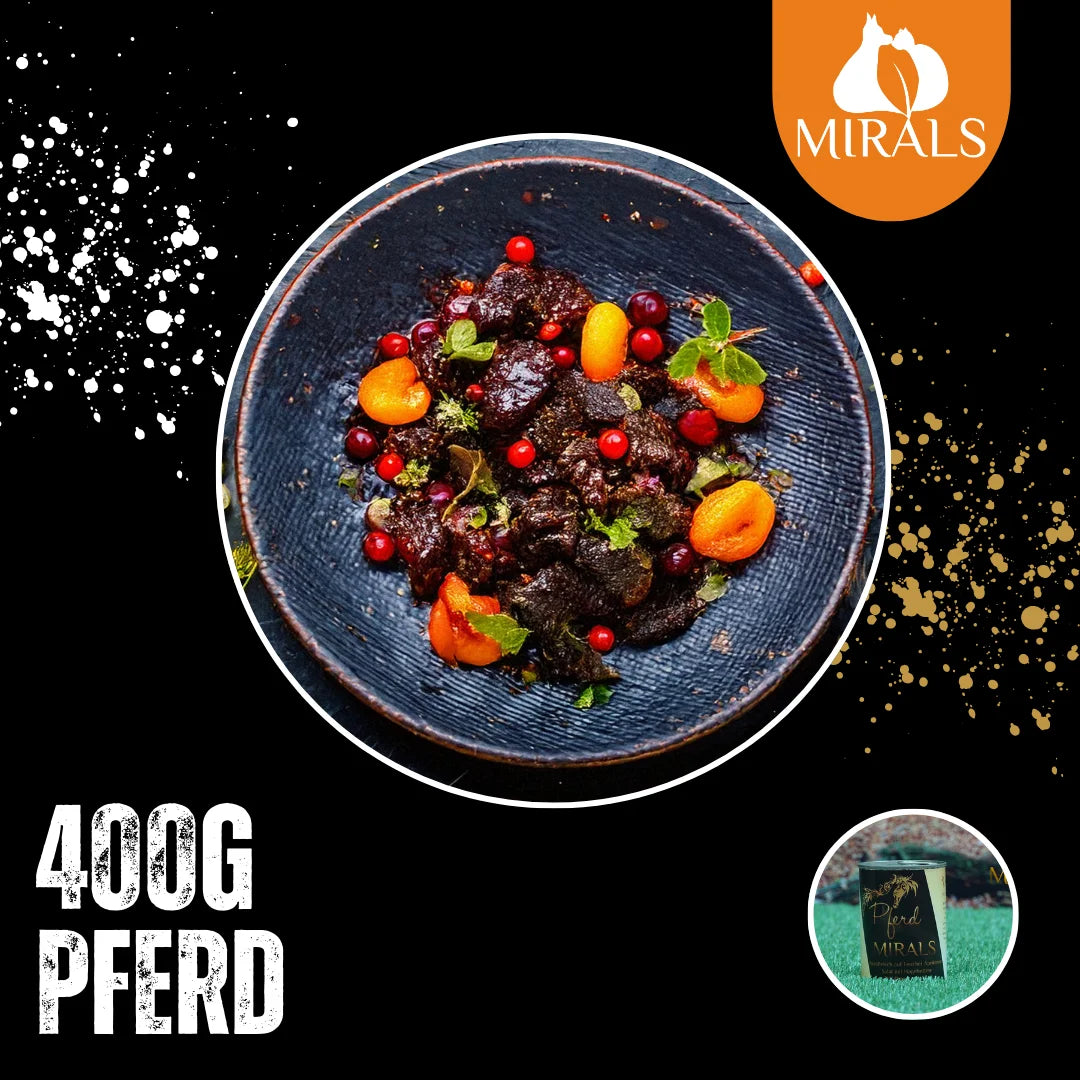 MIRALS Viande de cheval sur salade de fenouil et abricots, crème cynorrhodon-baies