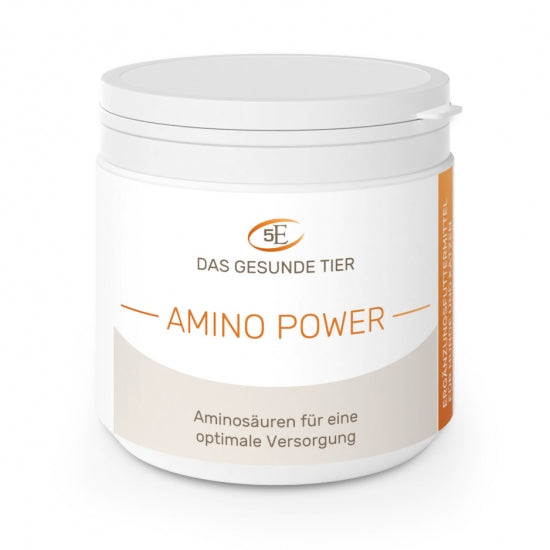 5 Elements : Amino Power
