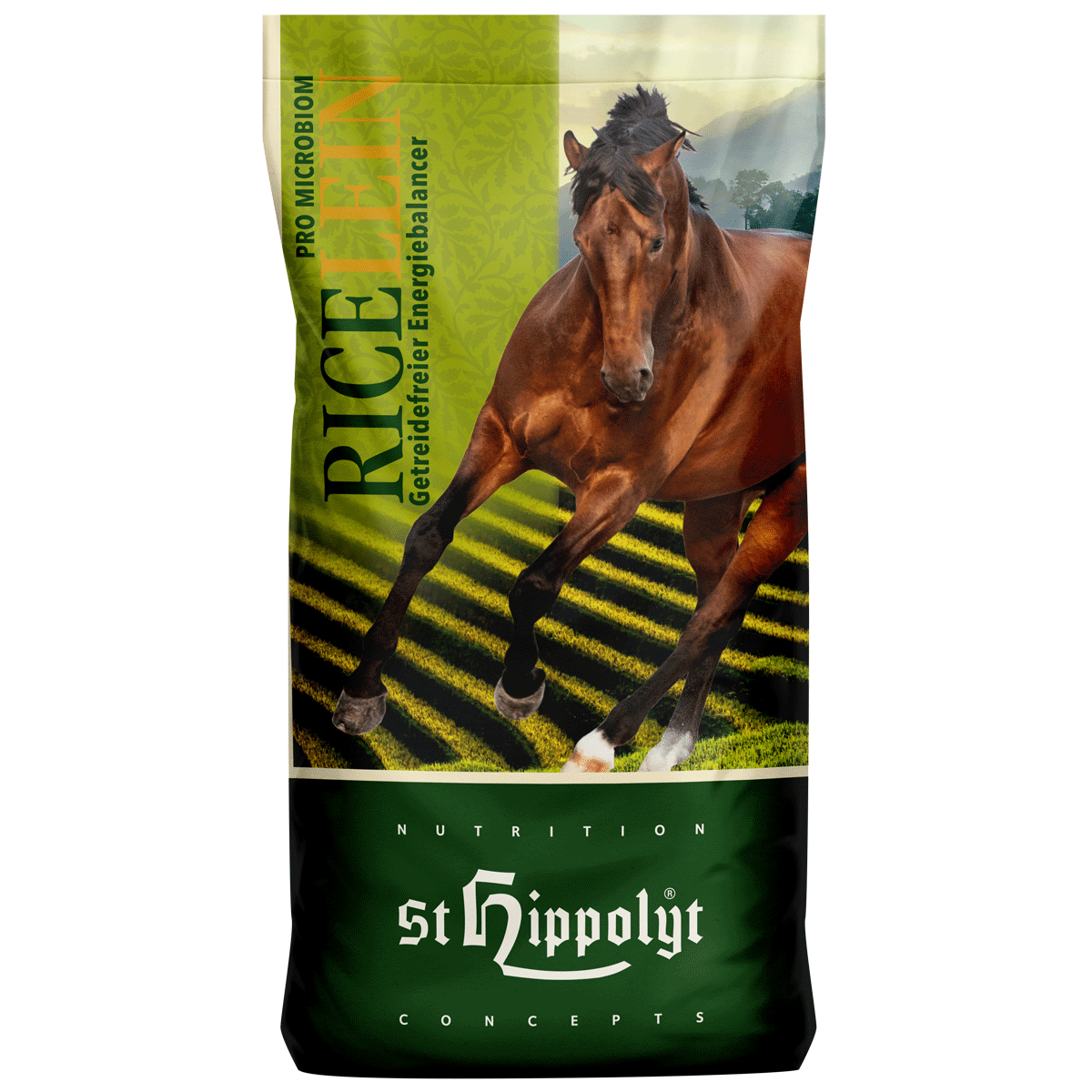 St. Hippolyt : RiceLein