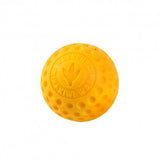 Kiwi Walker Lass uns Ball spielen