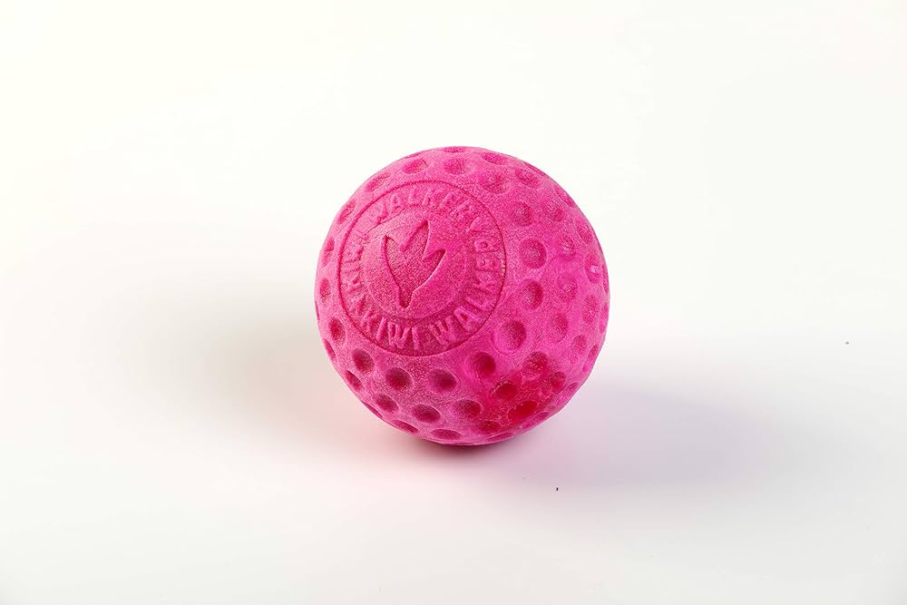 Kiwi Walker Lass uns Ball spielen