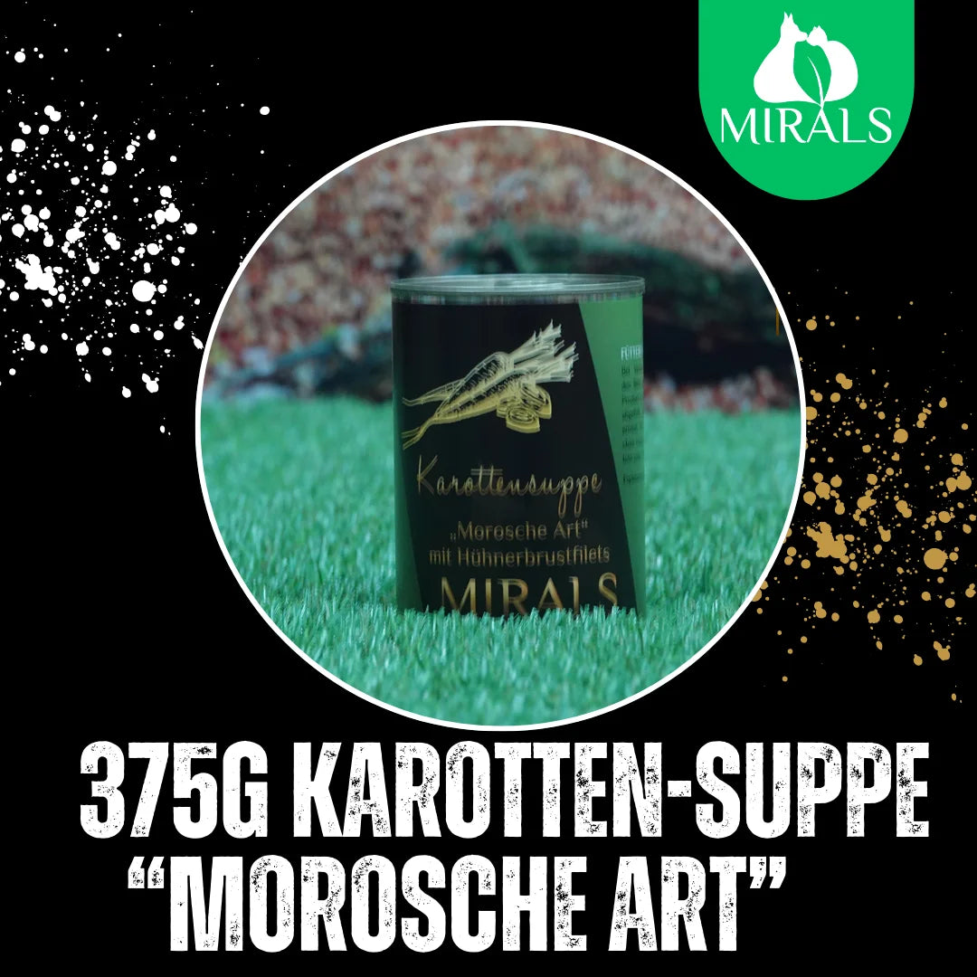 MIRALS Karottensuppe „Morosche Art“