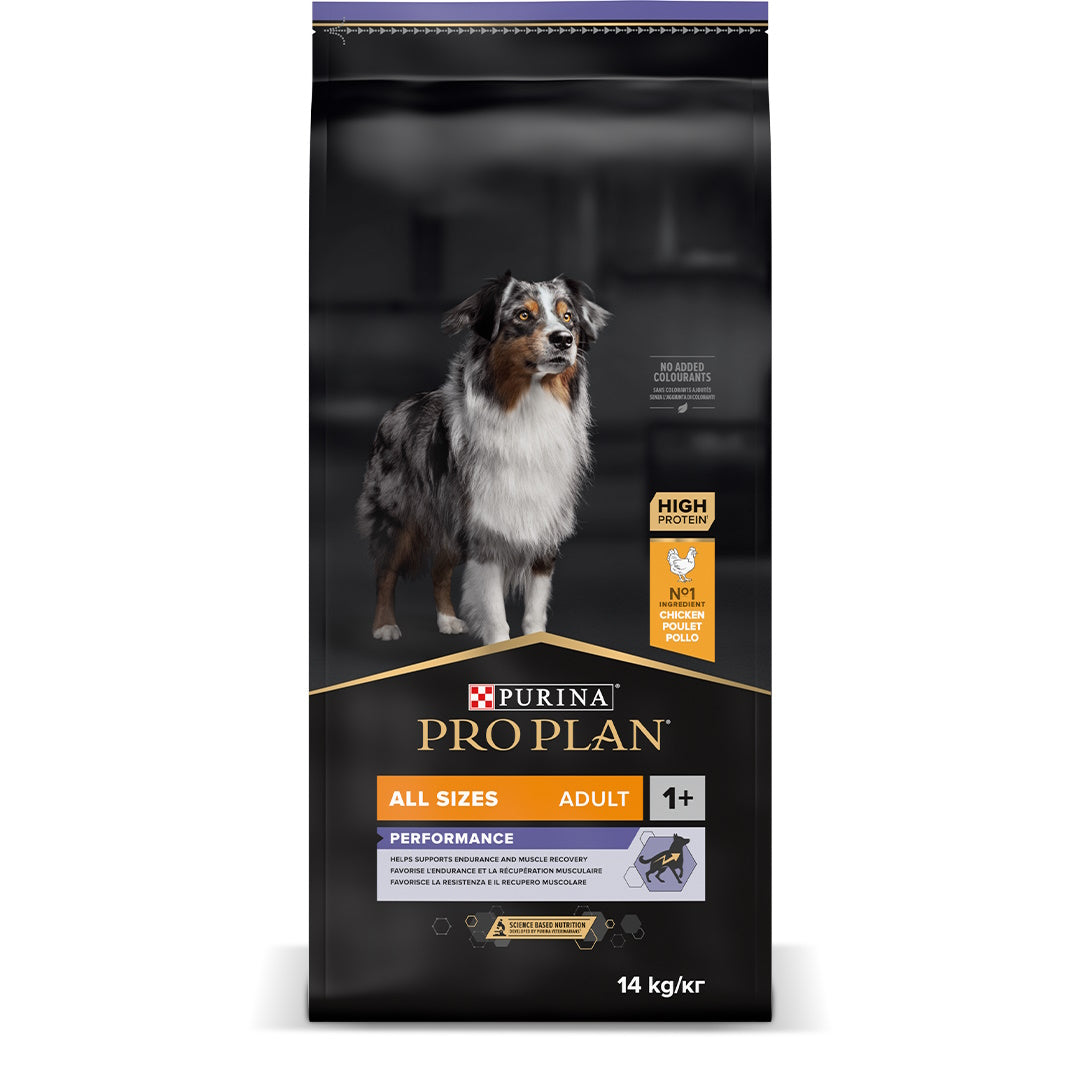 Pro Plan Chien Adulte All Size Performance