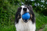 Kiwi Walker Lass uns Ball spielen