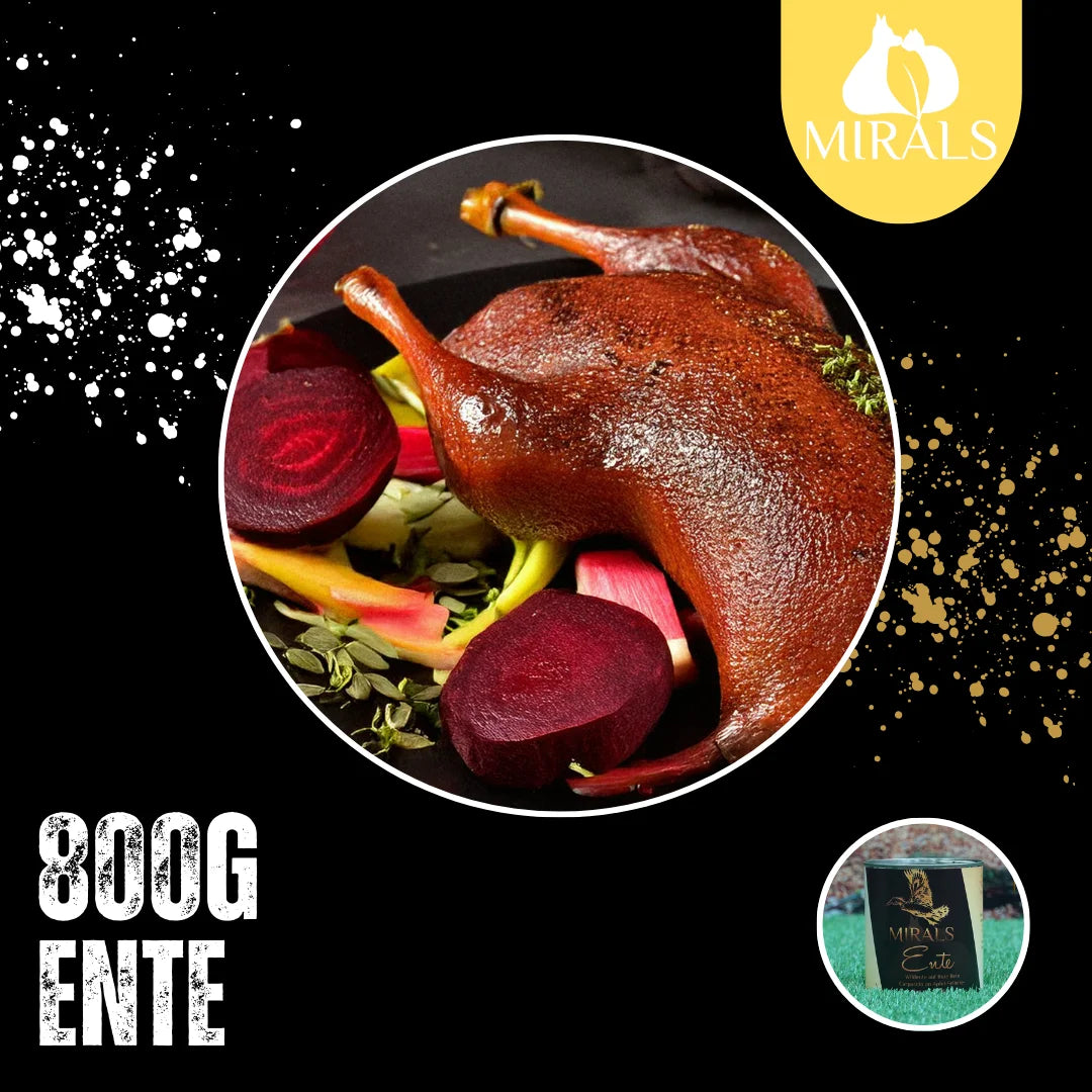 MIRALS Canard sauvage sur carpaccio de betterave rouge et mousse pomme-céleri-banane