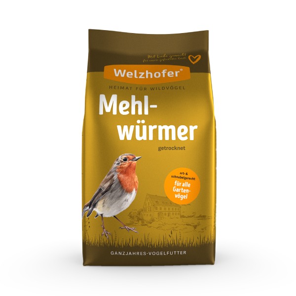 Welzhofer Vers de farine séchés
